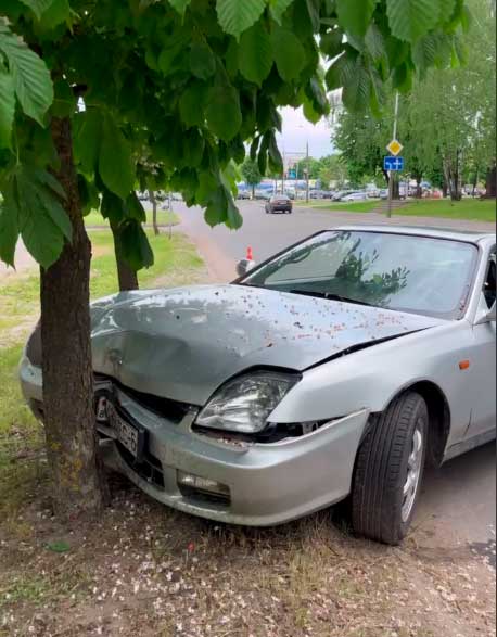 Авария на Кутепова — легковушка «поцеловала» каштан
