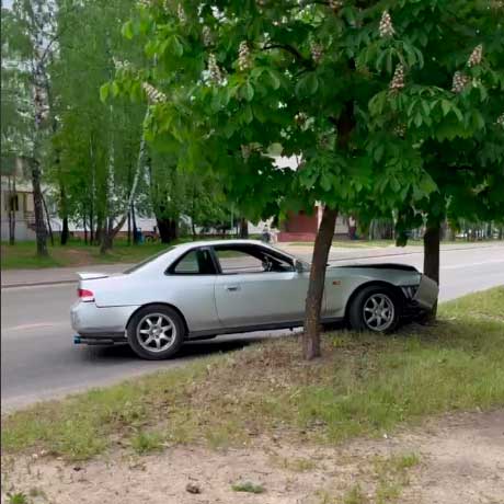 Авария на Кутепова — легковушка «поцеловала» каштан
