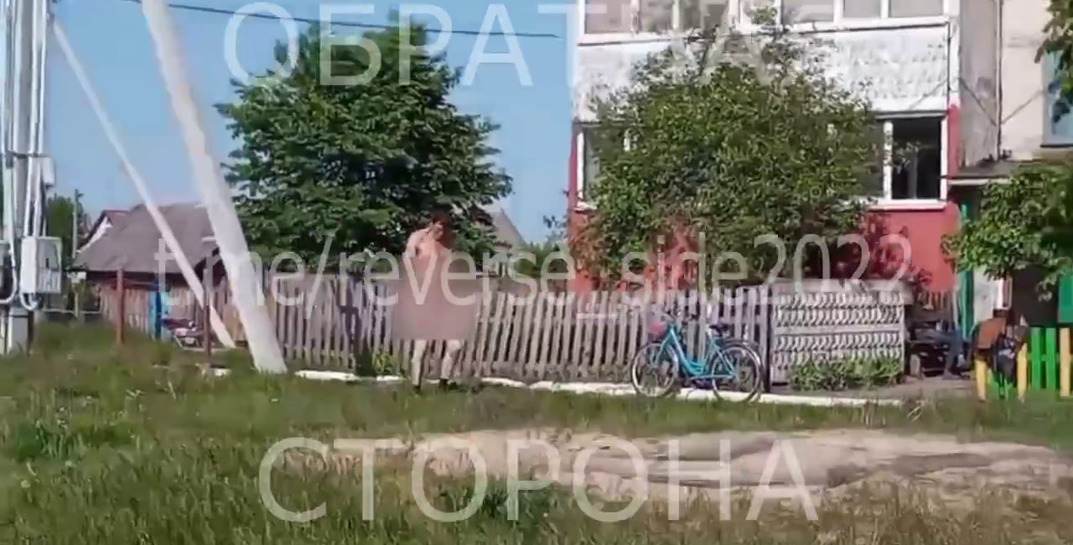 Снова весеннее обострение? В Ганцевичском районе мужчина устроил голые танцы прямо посреди деревни