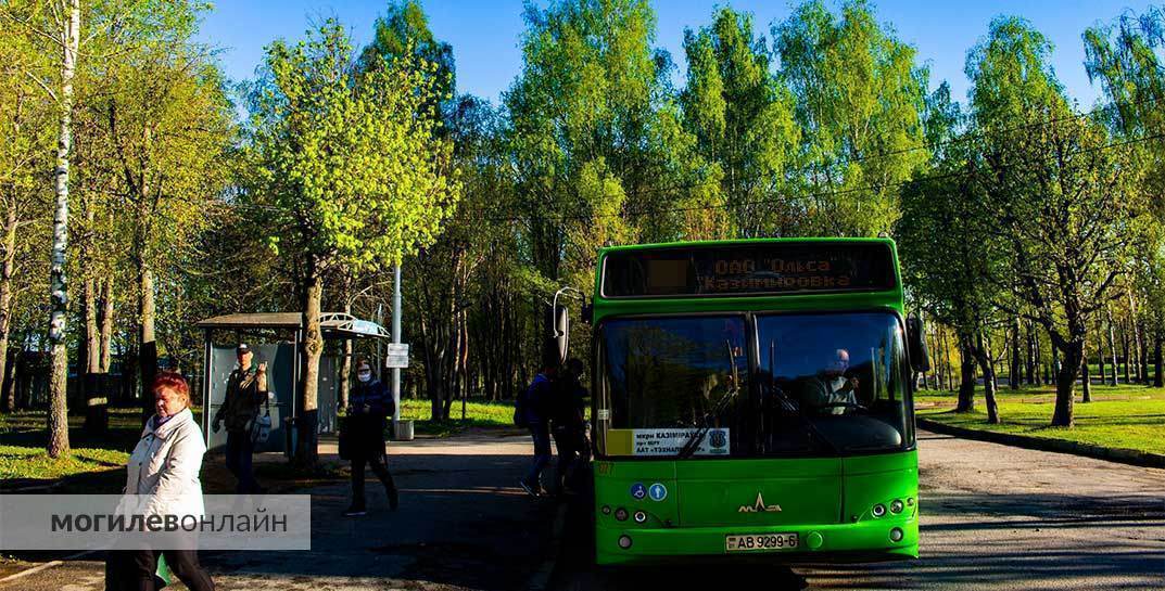 9 мая в Могилеве пустят дополнительный транспорт в Печерский лесопарк