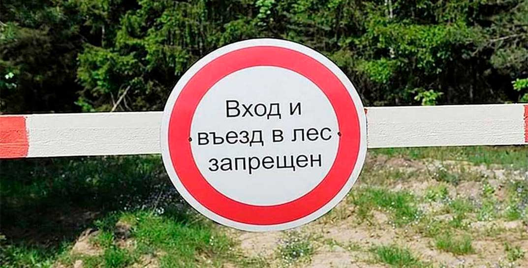 В Могилеве и Могилевском районе введен запрет на посещение лесов
