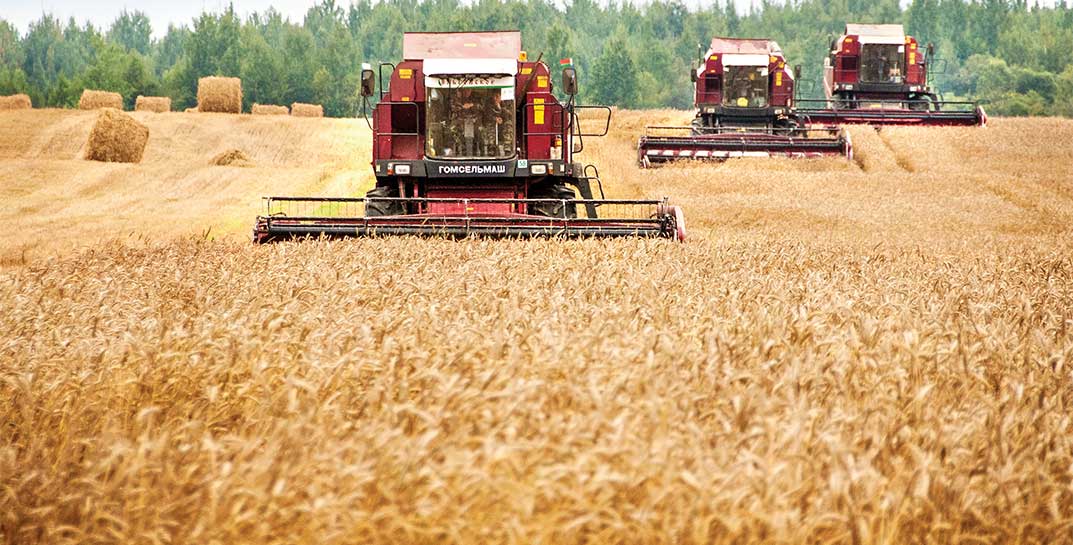 Евросоюз вводит запретительные пошлины на зерно из Беларуси и России