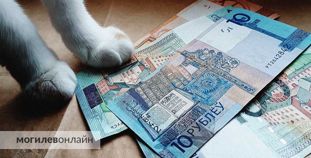 В каких городах и районах Беларуси самые высокие зарплаты