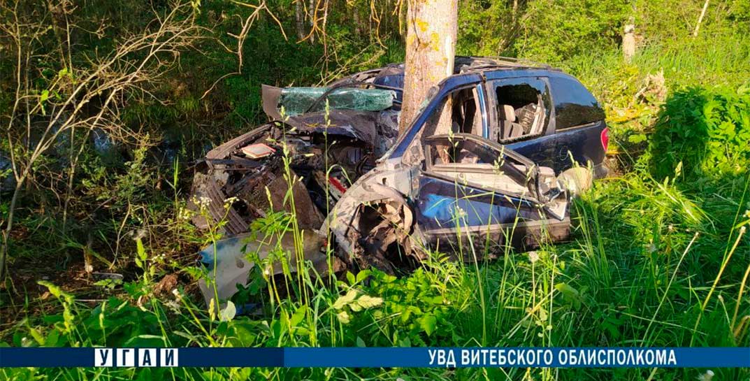 Без шансов для водителя… Жестокое ДТП в Витебской области: Chrysler вылетел в кювет и «обнял» дерево