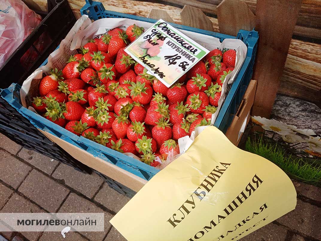 Посмотрели, что по фруктам-овощам на Минском рынке в Могилеве и появилась ли белорусская клубника
