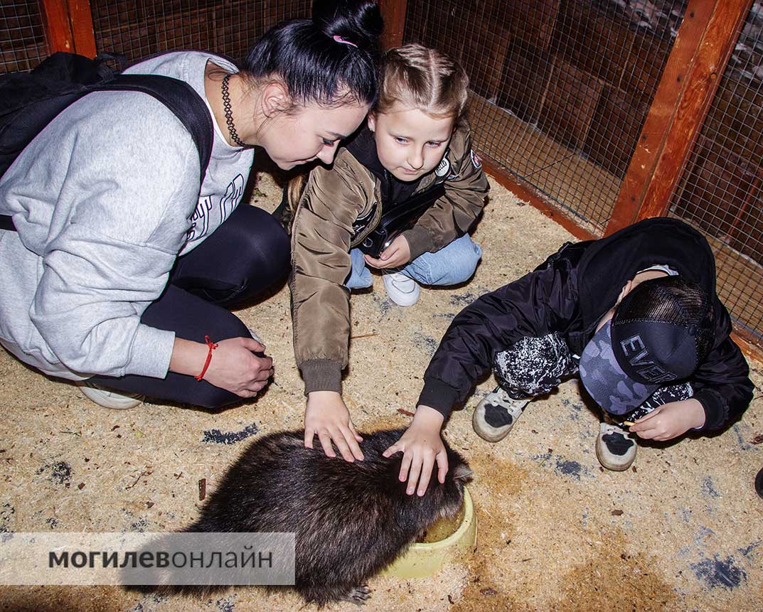 В Могилев приехал «Зверополис» — на выставке можно пообщаться с животными и... уйти без шнурков!