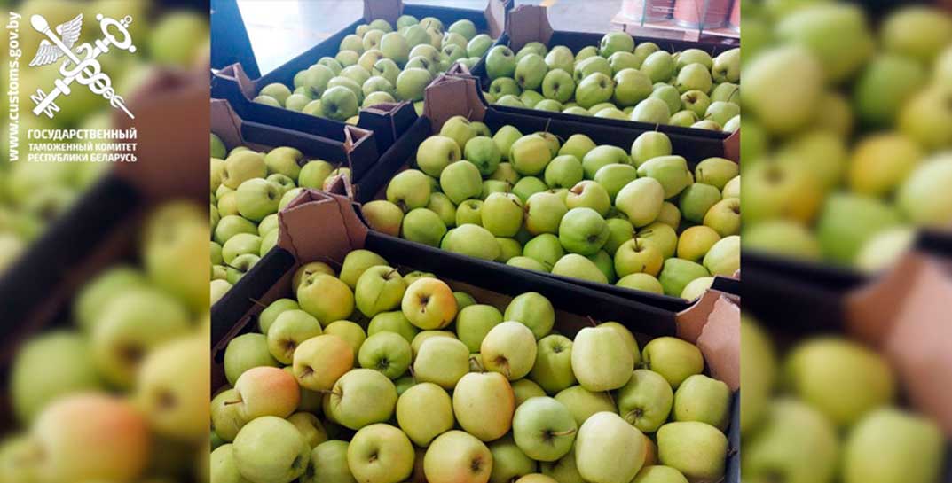 Через Могилевскую область в Россию пытались незаконно ввезти яблоки почти на 365 тысяч рублей. Не вышло