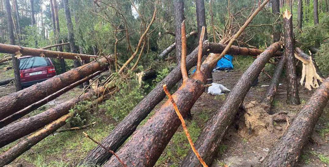 На Гродненщине из-за непогоды дерево упало прямо на женщину, она погибла