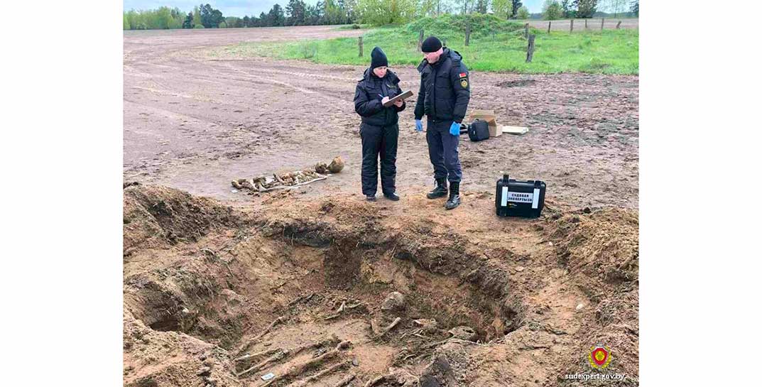 В поле под Глуском местный житель нашел череп в каске. Разбирался с находкой Следственный комитет и судэксперты