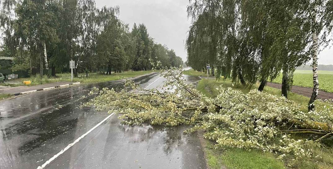 В МЧС рассказали о последствиях непогоды в Могилевской области