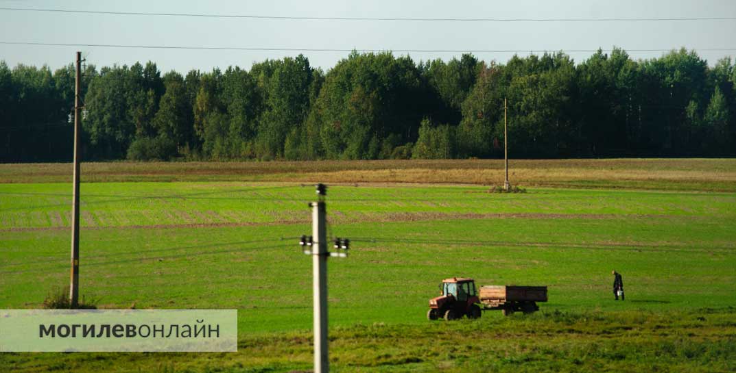 В Круглянском районе главного агронома предприятия не рассчитали при увольнении — вмешалась прокуратура