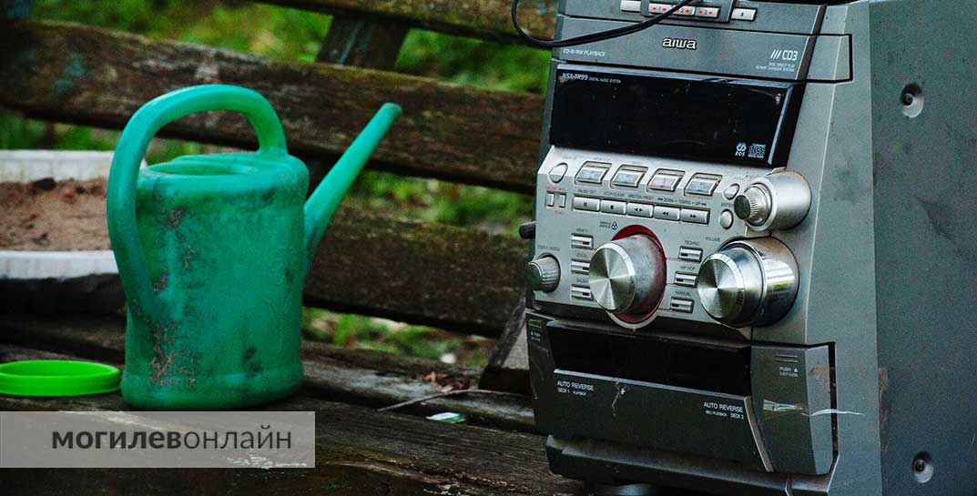 Пьяный дачник в Чаусском районе зашел в чужой двор попить воды. В итоге незваный гость поломал садовую скульптуру и повредил забор