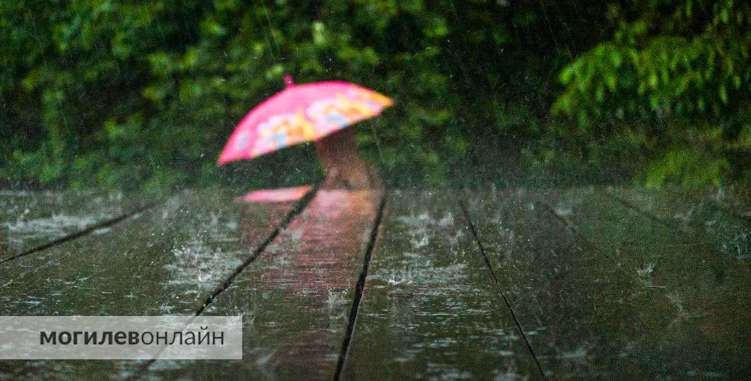 Жарко и с дождями, но без перебора — Дмитрий Рябов рассказал, каким будет июнь в Беларуси