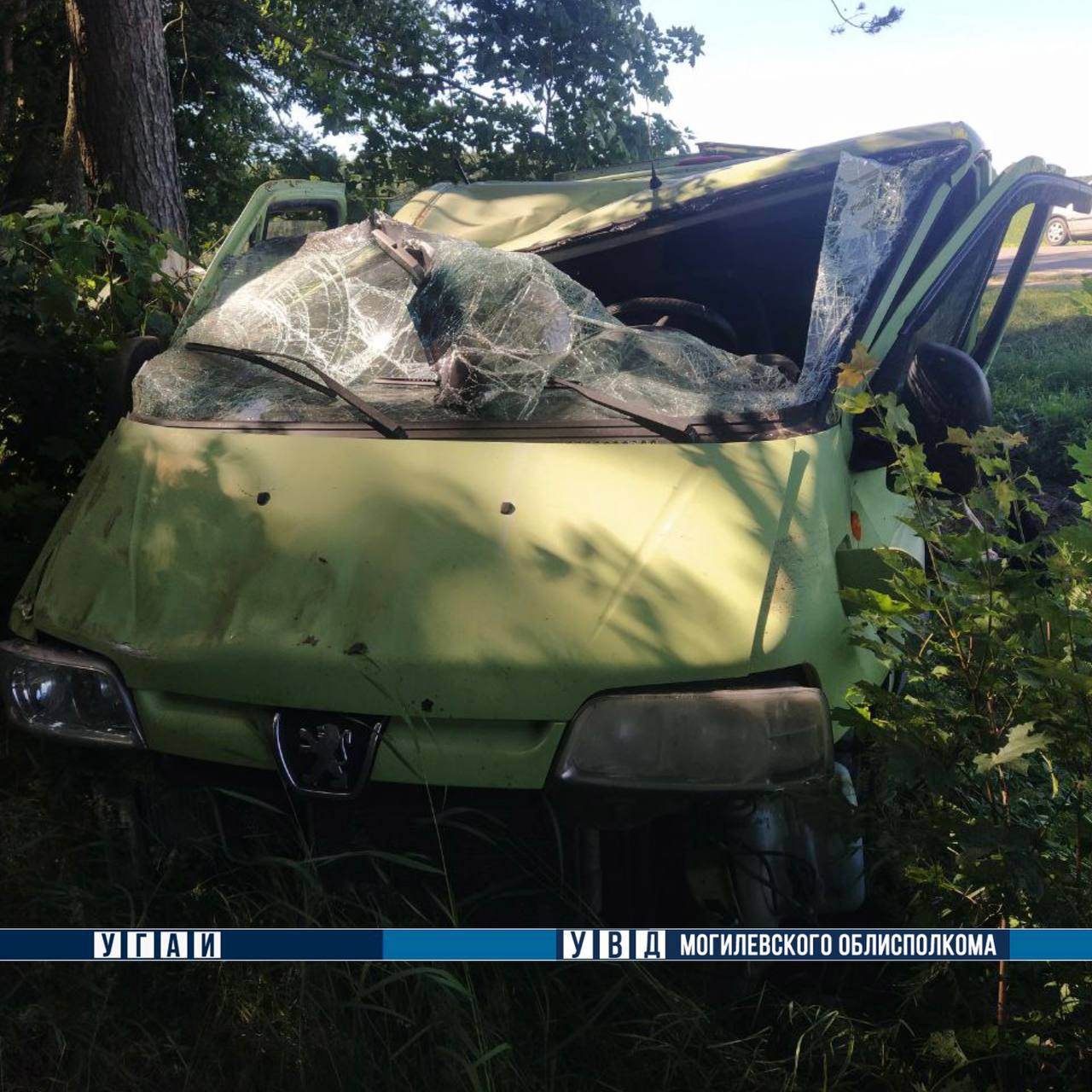 В Шкловском районе водитель не справился с управлением и въехал в дерево. Мужчина в больнице