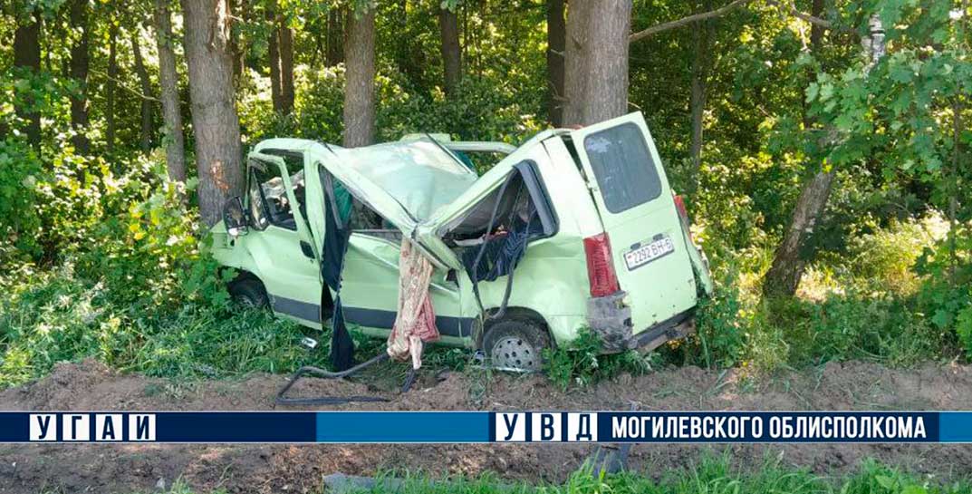 В Шкловском районе водитель не справился с управлением и въехал в дерево. Мужчина в больнице