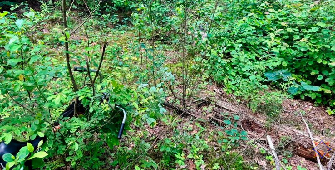 Пенсионерка пошла в лес за земляникой в Кировском районе, заблудилась и сломала ногу. Искали женщину спасатели