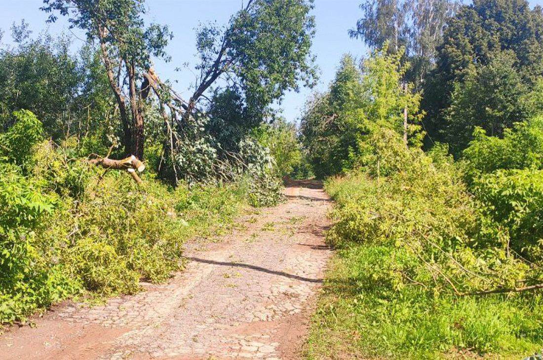 Ураган в Мстиславском районе