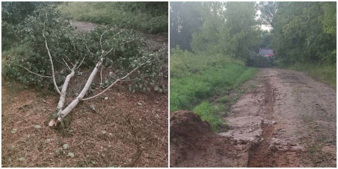 Ураган в Мстиславском районе