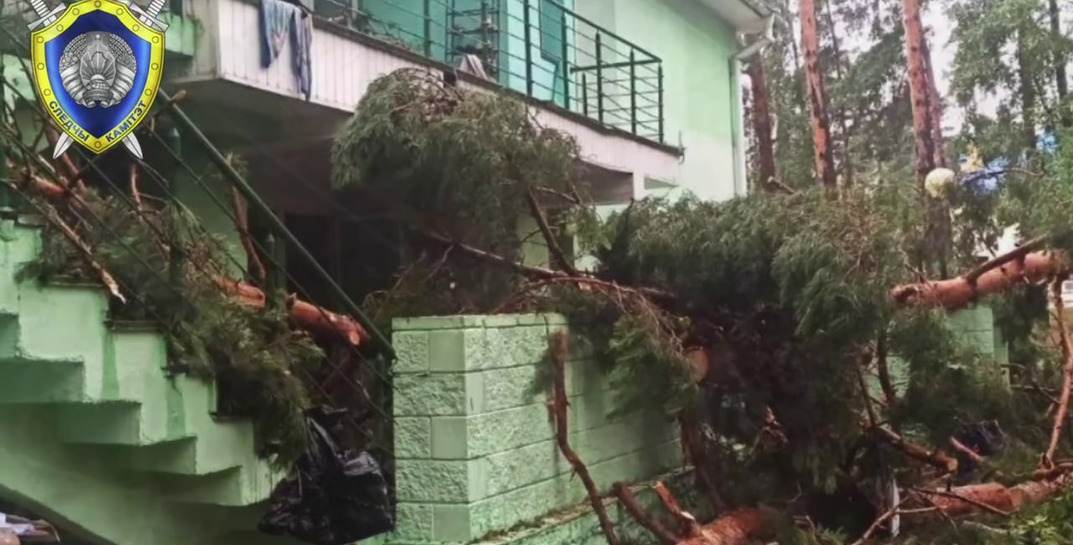 Появилось видео, сделанное в момент бури, из лагеря в Речицком районе, где упавшее дерево насмерть придавило 13-летнего мальчика