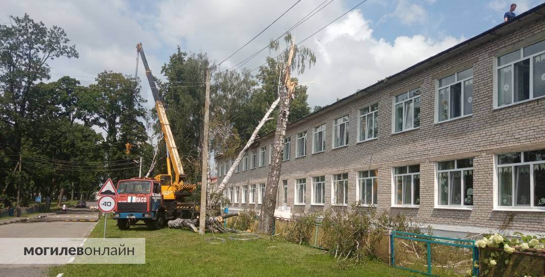 В агрогородке под Могилевом большое дерево упало на здание детского сада