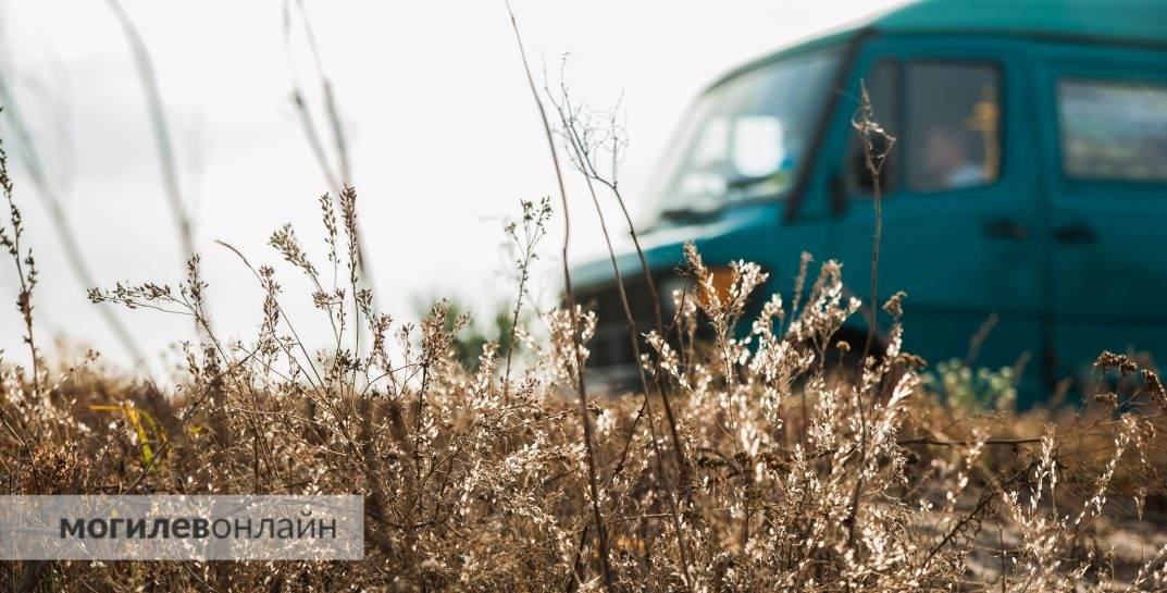 Дополнительные маршрутки пустят из Минска в Бобруйск и Славгород