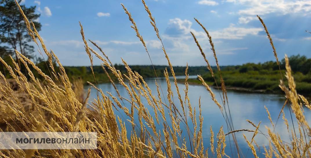 Стало известно, какой будет погода в Могилевской области в начале следующей недели