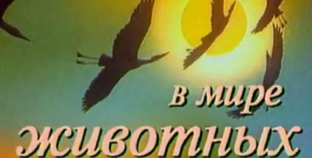 Белорус распылил перцовый баллончик в лицо девушкам, которые ему понравились, из-за того, что те уделяли ему недостаточное внимание