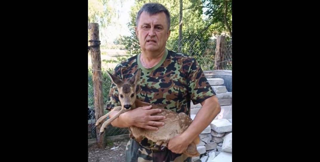 В Бобруйском районе сельчане спасли детеныша косули — малыша передали в Могилевский зоосад
