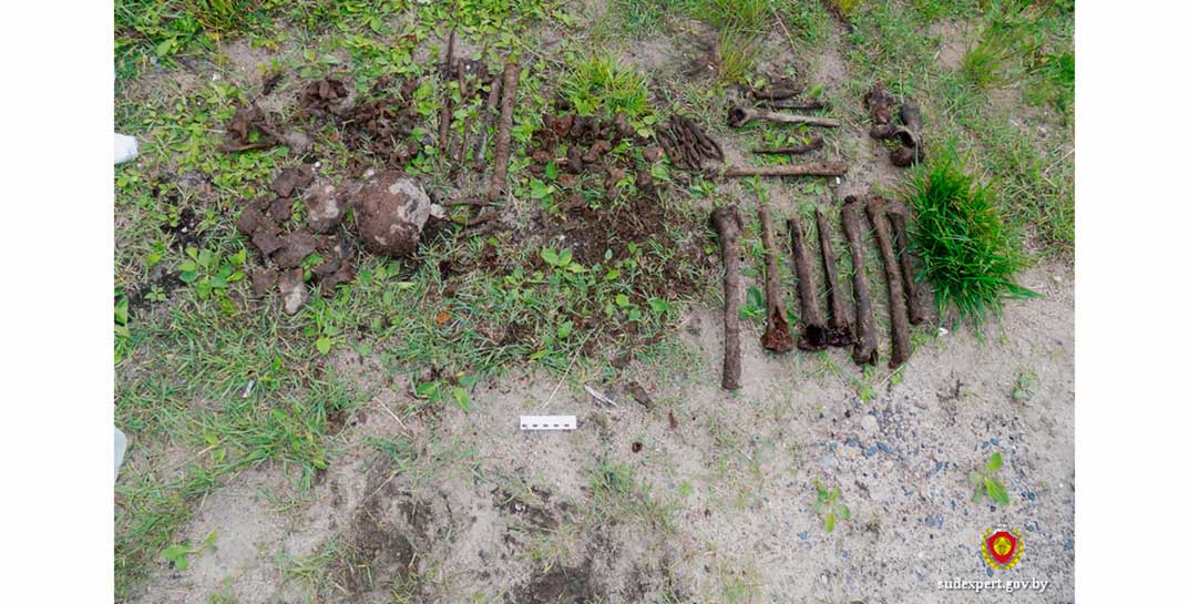 Могилевские эксперты исследовали останки людей, обнаруженных в Осиповичском районе