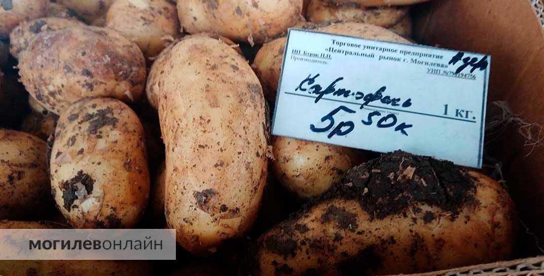 В Беларуси резко выросли цены на картофель — причину объяснили в Минэкономики