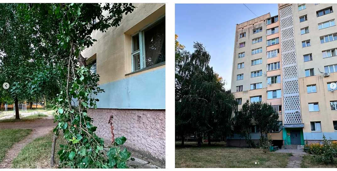 В Светлогорске из окна девятого этажа выпал малыш. Он приземлился на дерево и остался жив