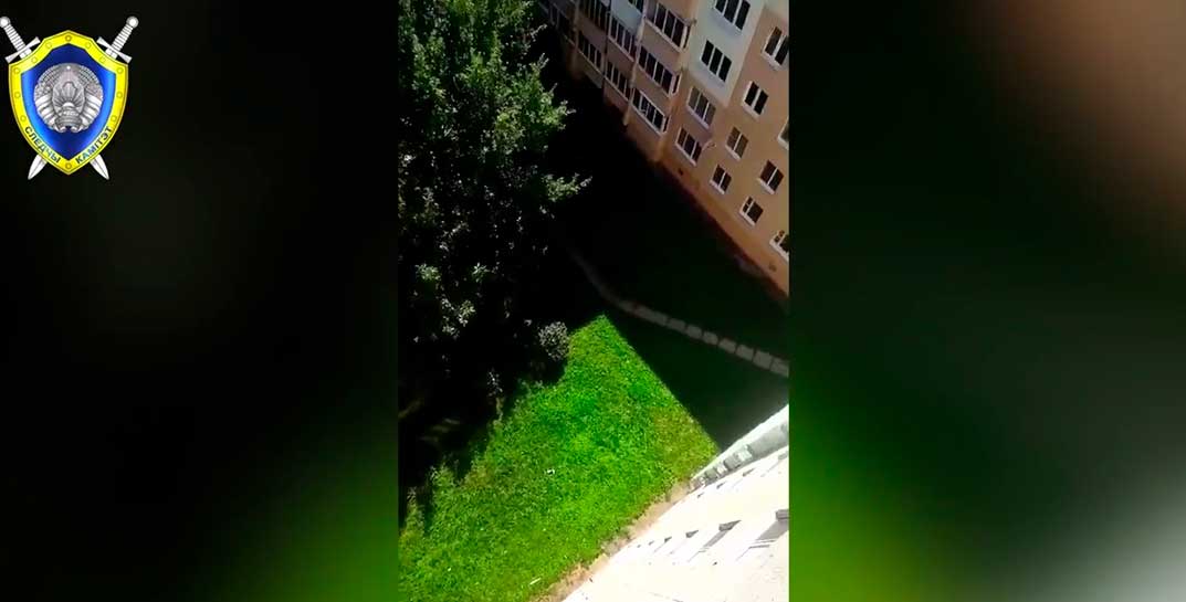 «Она меня достала». В Солигорске женщина выбросила собаку из окна 9 этажа