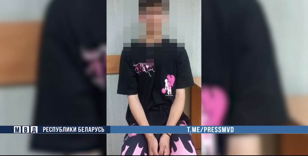 Задержан курьер телефонных мошенников — 78-летняя бобруйчанка отдала ему почти 18 тысяч рублей