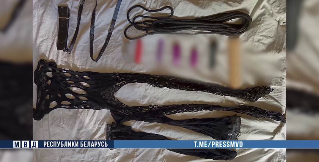 В качестве актеров привлекала знакомых: 24-летняя бобруйчанка организовала порностудию в съемной квартире