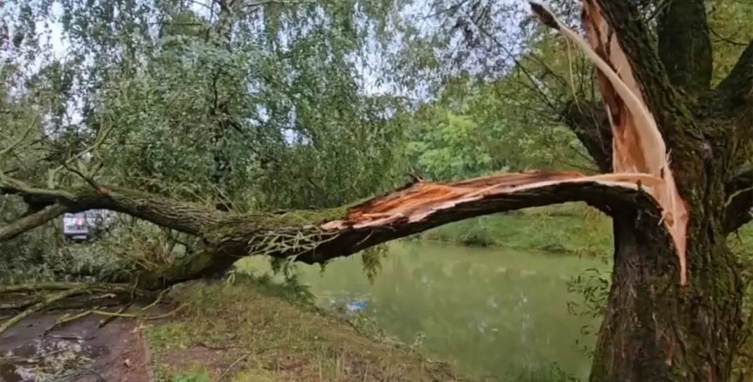 Вчера из-за непогоды в Беларуси погиб еще один человек и были травмированы дети