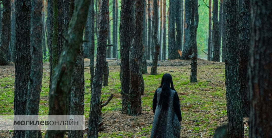 После урагана Минлесхоз просит две-три недели не ходить в лес за грибами — это опасно