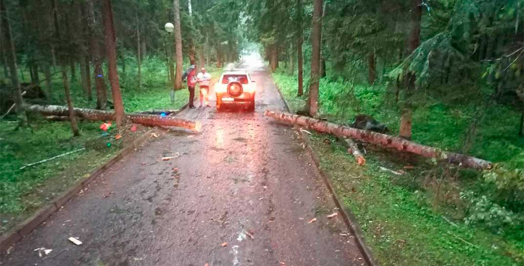 «У нас больше 20 тысяч сидельцев и так называемые политзаключенные». Лукашенко рассказал, кого отправят ликвидировать последствия урагана