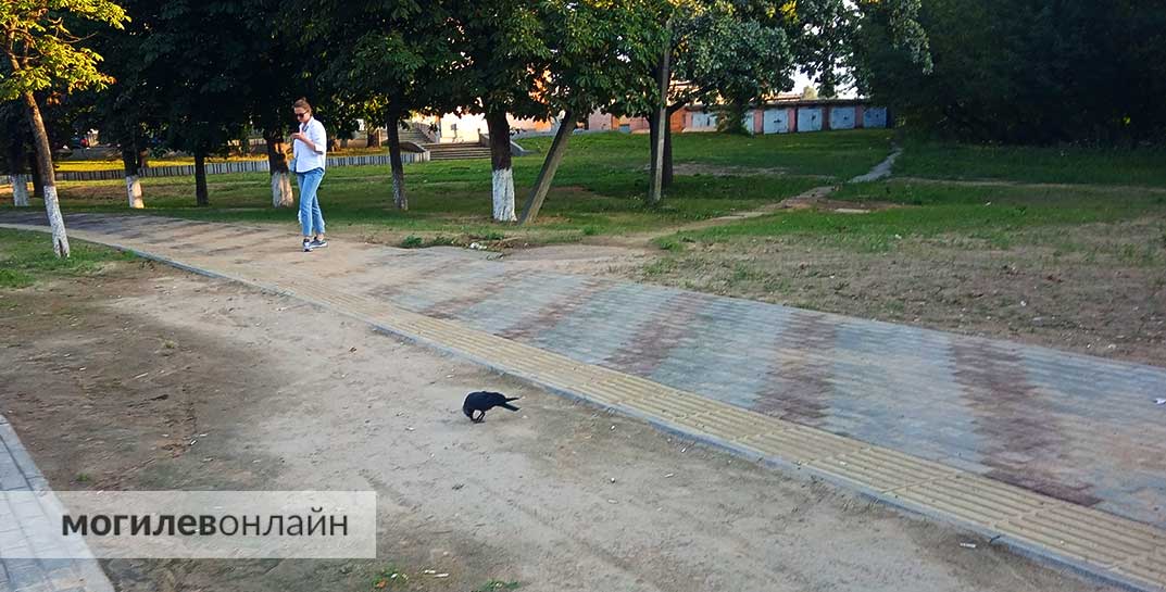 Остановки на кольце «Мясокобината» больше нет — узнали почему