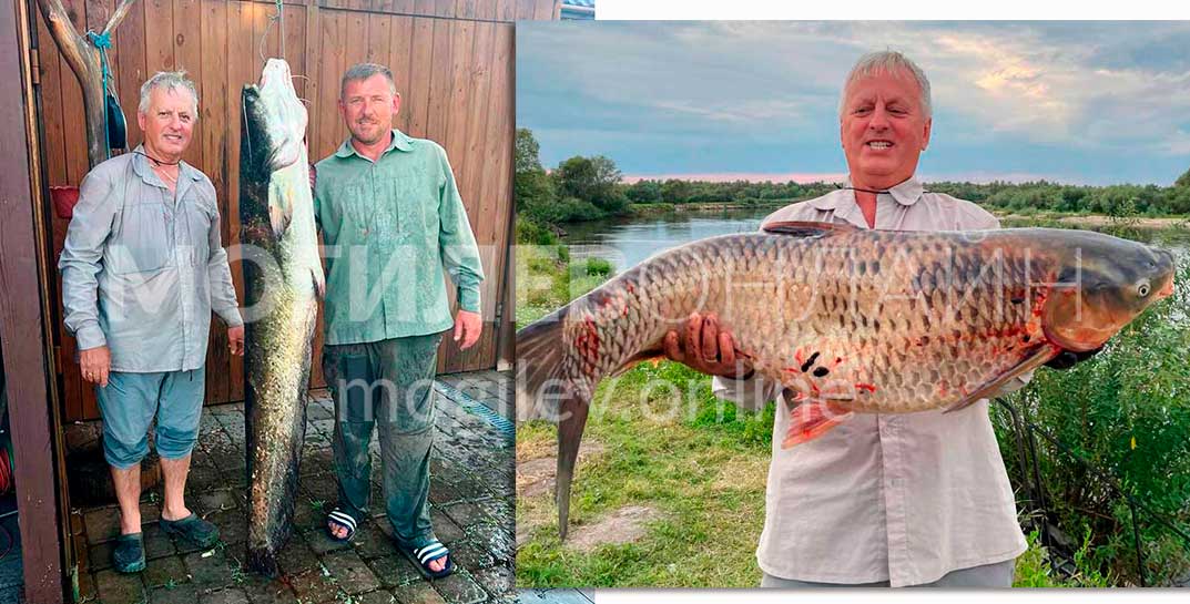 «Я в этом деле новичок, а новичкам всегда везет!» Могилевчанин показал сома почти в 180 сантиметров, которого выловил в Припяти