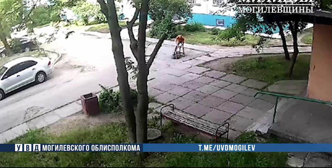 В Могилеве мужчина по ночам воровал у предприятия металл, но не учел, что его снимают камеры видеонаблюдения