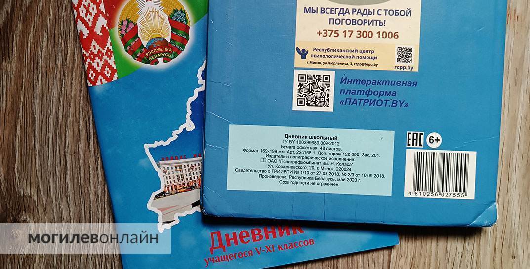 Можно ли пользоваться в новом учебном году дневником не образца 2024 года? Окончательный ответ дали в Минобразования