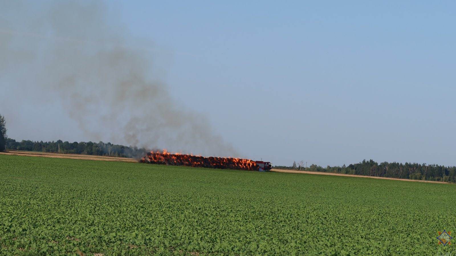 На поле в Кричевском районе сгорело 120 тонн соломы. Есть пострадавший