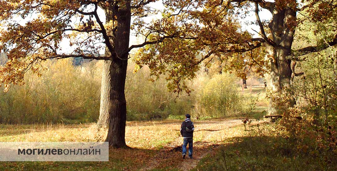 Ждать ли похолодание? Стало известно, какой будет погода в Могилевской области в начале следующей недели