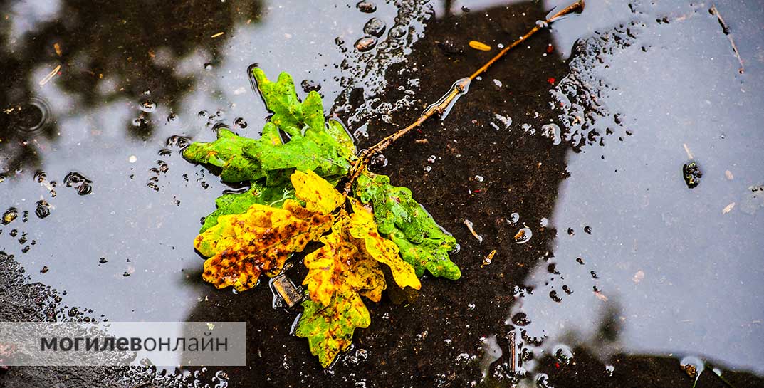 Все еще по-летнему тепло, но наконец пройдут дожди: погода на четверг, 12 сентября