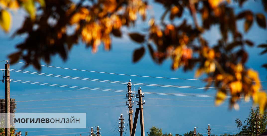 Осенняя сказка продолжается: погода в Могилеве на среду, 25 сентября