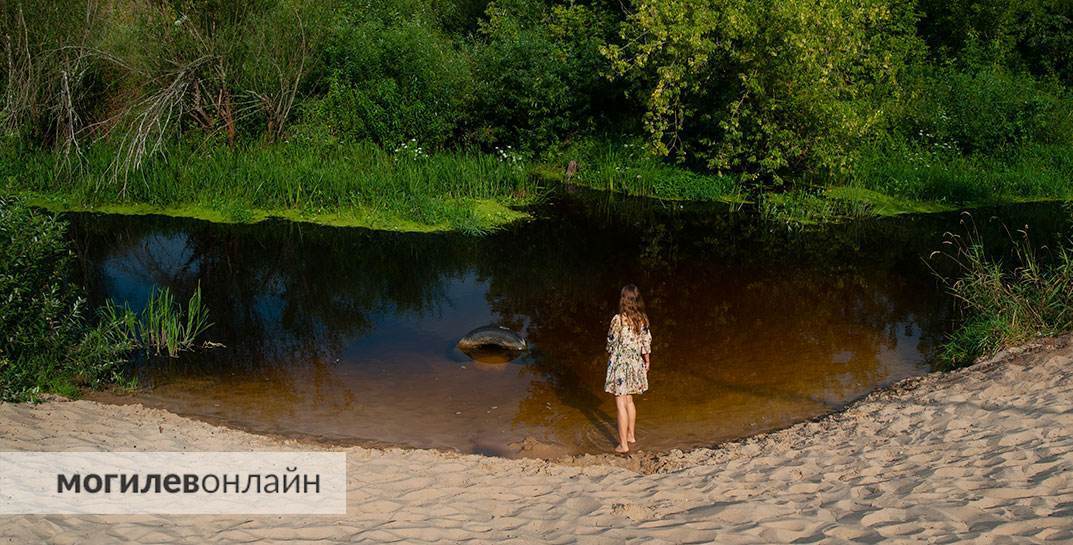 Лето продолжается: погода в Могилеве на воскресенье, 8 сентября