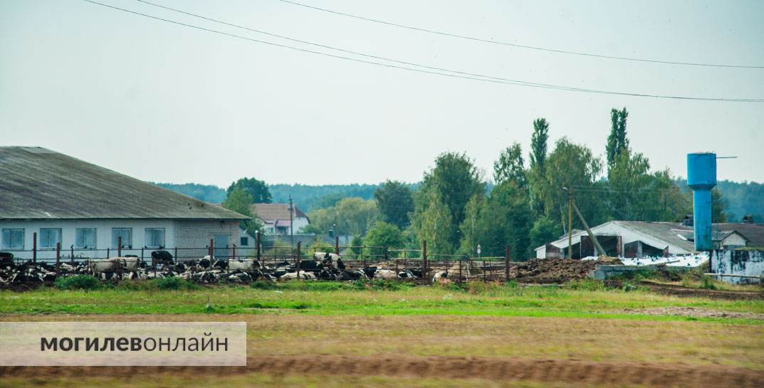 ЧП под Новогрудком: на мужчину упала стена коровника, он погиб