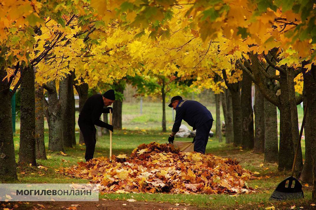 Ловите осенний вайб в Могилеве! Смотрите, как красиво