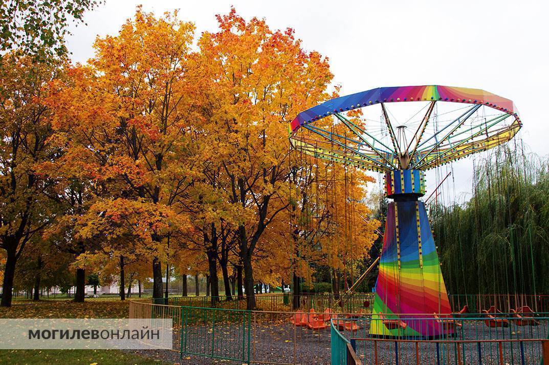 Ловите осенний вайб в Могилеве! Смотрите, как красиво