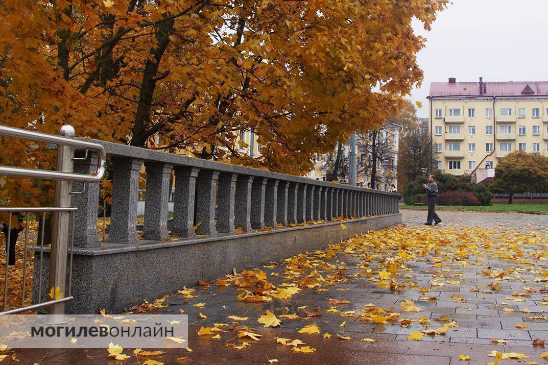 Посмотрите на волшебство любимого города в осенних фотографиях от «МогилевОнлайн»